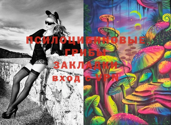 соль курить ск Алзамай