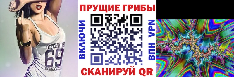 Псилоцибиновые грибы ЛСД  Новоалександровск 